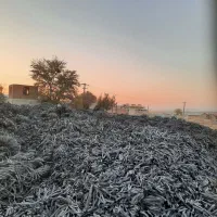 ضایعات نوار تیپ