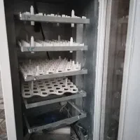 دستگاه جوجه کشی شاهین