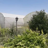 فروش-باغ-و-گلخانه-در-روستای-حصار-سرخبه-قیمت