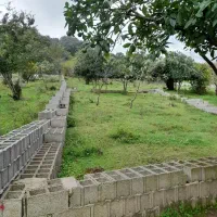 فروش زمین مسکونی پلاک صفرجنگل وپلاک 2جاده اصلی|فروش زمین و ملک کلنگی|ماکلوان, |دیوار