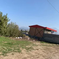 بااین زمین آینده ات رو تضمین کن|فروش زمین و ملک کلنگی|علی‌آباد کتول, |دیوار