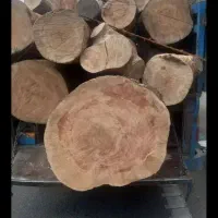 خریدار چوب چنار وکاج گردو تنه زیر پالت