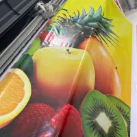 دستگاه چاپ بنر اکو i3200