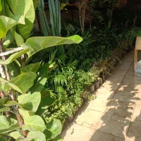 گل و گیاه ، گلدان ، تاج گل ، باکس گل درختچه|گل مصنوعی|کهریزک, |دیوار