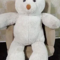 شاسخین بزرگ
