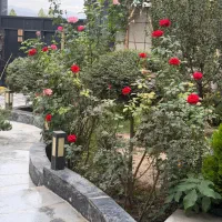 زمین-داخل-بافت-تشبندان