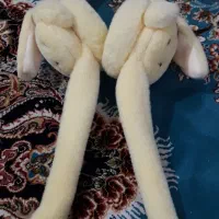 گوش گیر پمپی