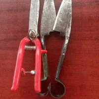 فروش قیچی پشم چین دام . یکجا|ابزارآلات|شهریار, شهرک وائین|دیوار