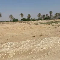 زمین-کشاورزی-گورک