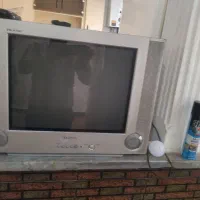 تلویزیون و فرش|تلویزیون و پروژکتور|ملارد, |دیوار