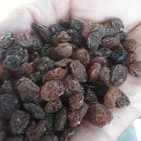 کشمش آفتابی مویز شیراز شیره خرما انگور شانی سنندج|خوردنی و آشامیدنی|تهران, شهرک شریعتی|دیوار