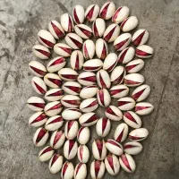 پسته درجه یک احمد آقایی