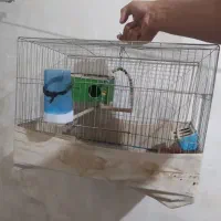 قفس با وسایل