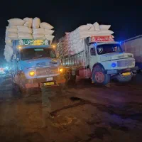 کاه گندم لوکس سرخوشه دیم گونی شده درجه یک همدان|لوازم جانبی حیوانات|یزد, |دیوار