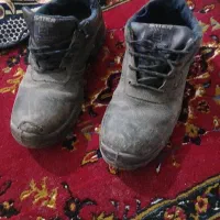 کفش کار