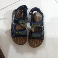 کیف و کفش|کیف، کفش، کمربند|رودسر, |دیوار