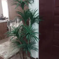 گلدون بزرگ ۷شاخه درحد نو