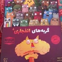 گربه ها انفجاری