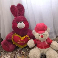عروسک خرس و خرگوش