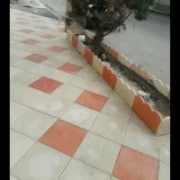 موزاییک رنگی ایزدمهر|مصالح و تجهیزات ساختمان|سبزوار, قصبه غربی|دیوار