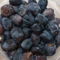 فروش رطب خانگی