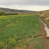 فروش زمین کشاورزی با قابلیت احداث باغ|فروش زمین و ملک کلنگی|ویلکیج, |دیوار