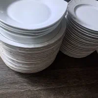 ظروف غذا خوری مناسب برای باغ و کارگاه
