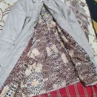 پالتو فقط ۱۰۰