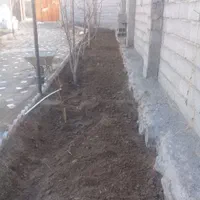 کلیه خدمات باغبانی|خدمات باغبانی و درختکاری|تبریز, |دیوار