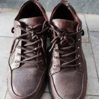 کفش|کیف، کفش، کمربند|سمنان, |دیوار