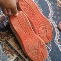 کفش ورزشی|تجهیزات ورزشی|هشترود, |دیوار