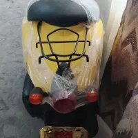 پاکشتی تدی f زردقناری