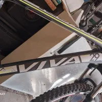 دوچرخه ویوا 29|دوچرخه، اسکیت، اسکوتر|اراک, |دیوار