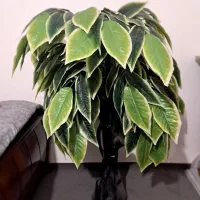 درختچه مصنوعی