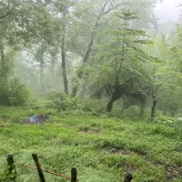 تور‌ وتفریح