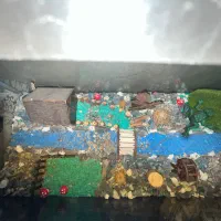 آکواریوم|لوازم جانبی حیوانات|مشگین شهر, |دیوار