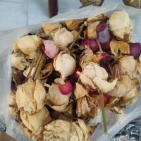 گل رز خشک|گل و گیاه طبیعی|تهران, مهرآباد|دیوار