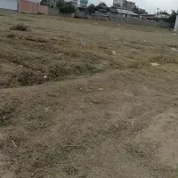 ۱۰۰ متر زمین مسکونی دلند|فروش زمین و ملک کلنگی|دلند, |دیوار