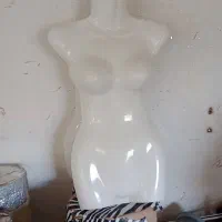 تعدادی مانکن نیم تنه زنانه مردانه|فروشگاه و مغازه|آبیک, |دیوار