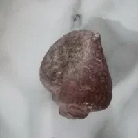 فسیل سنگ|کلکسیون اشیاء عتیقه|مشهد, بهمن|دیوار