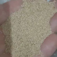 بذر مرغوب و گلچین شده|گل و گیاه طبیعی|کوهدشت, |دیوار