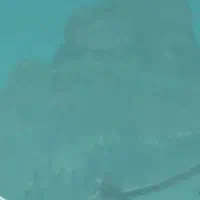 وام جانبازی