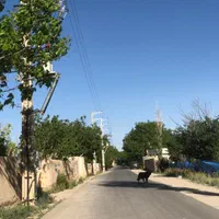 فروش زمین جابان۵۰۰متردردماونداب برق اقساط ۴ ماه|فروش زمین و ملک کلنگی|پردیس, |دیوار