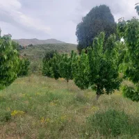 روستای-زیبای-اهوراک-طالقان-پایین