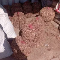 خرید و فروش ضایعات غذا و گندم و آرد و حبوبات