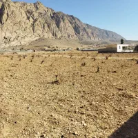 فروش-باغ-مناسب-کارگاه-وگاوداری-باغ-زرقان