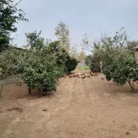 زمین مسکونی کریم محله