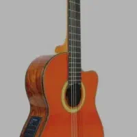 گیتار پیکاپدار واشبرن
