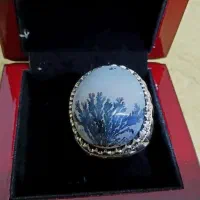 انگشتر نقره شجر|جواهرات|کرمانشاه, |دیوار