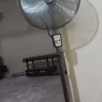 پنکه